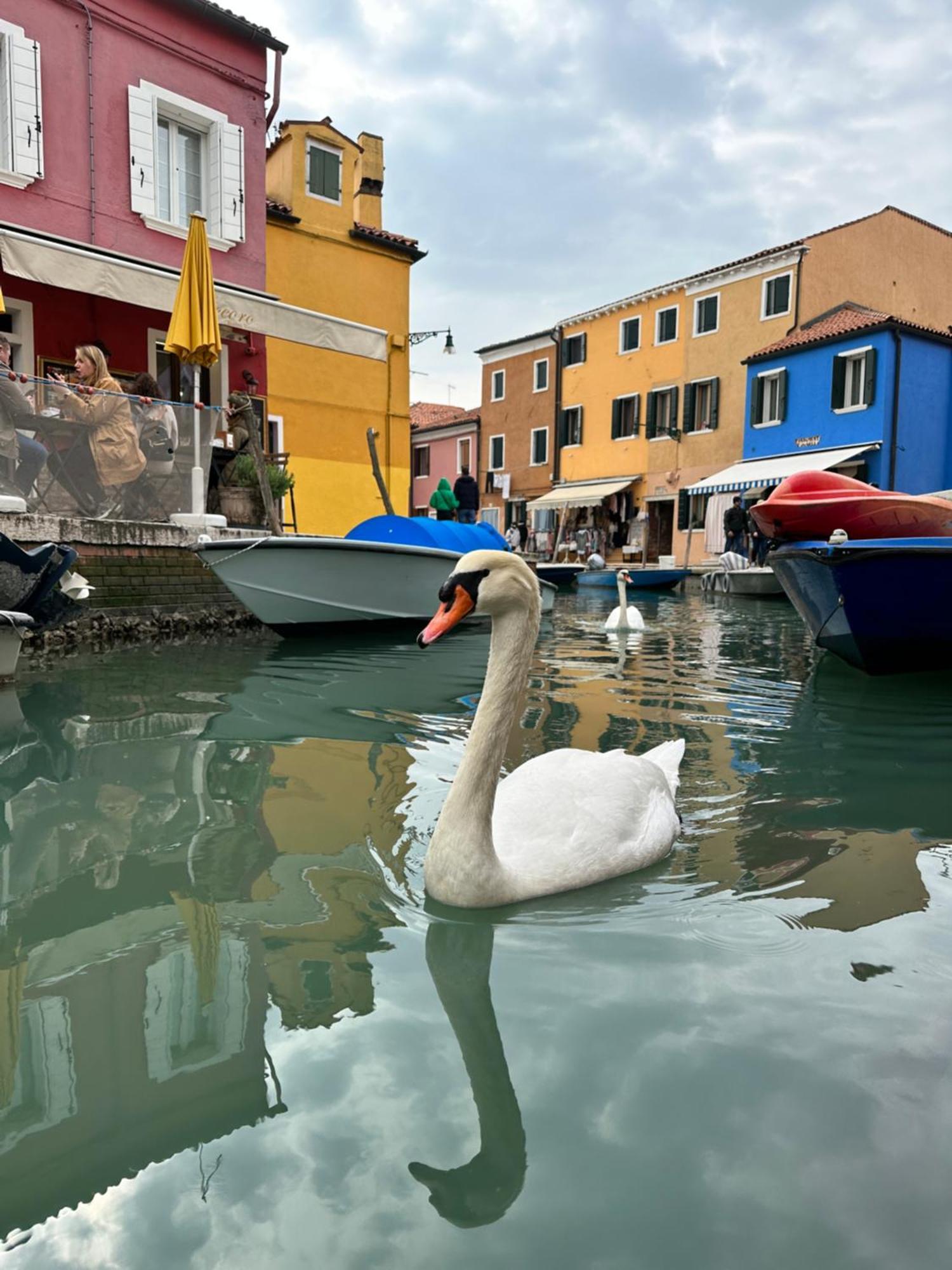 Experience: Casa Tipica Apartment Burano